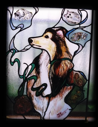 Joli, Our Sheltie Remembered